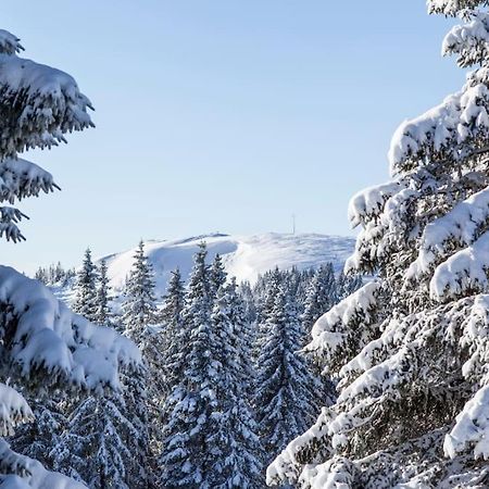 Waldtwin 2 Titisee Titisee-Neustadt Exterior foto